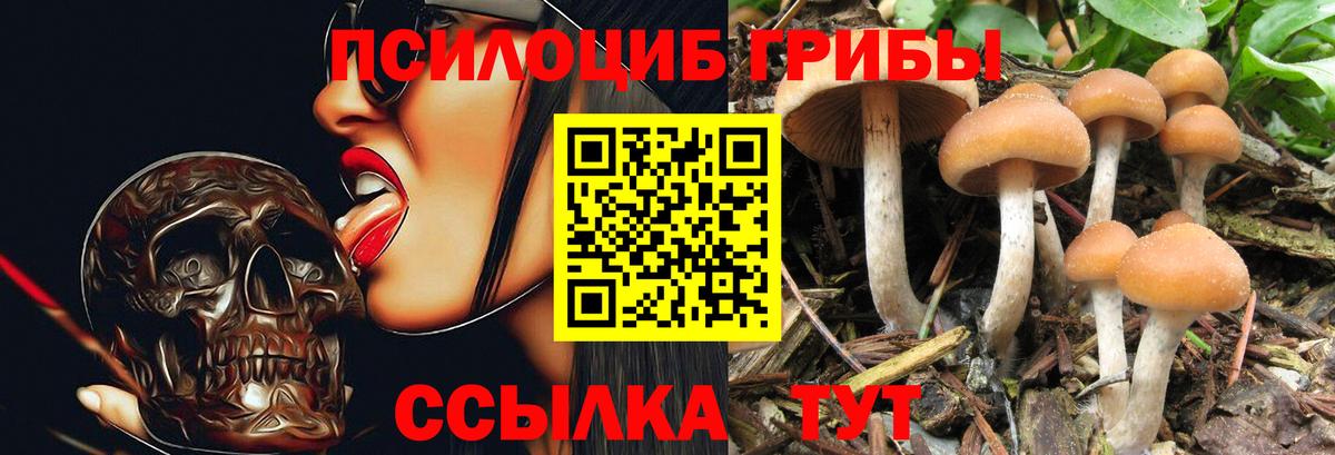 Можайск  Псилоцибиновые грибы мицелий  Вход с VPN 